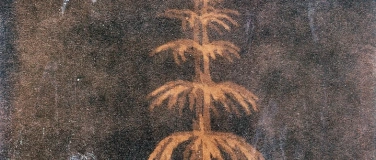 Event-Image for 'Familienworkshop zum Grosselterntag'