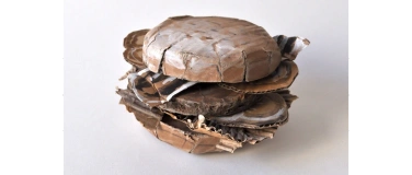 Event-Image for 'Cut it!'