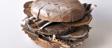 Event-Image for 'Cut it! - Workshop f&uuml;r Gross und Klein mit Bruno Weber'