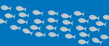 Event-Image for 'Silber-Schwarm'