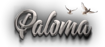 Event organiser of Paloma Event