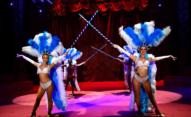 Event-Image for 'Circus Mundial'