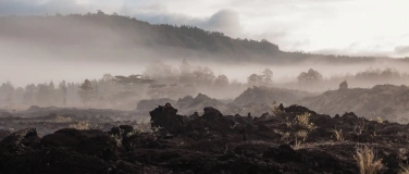 Event-Image for 'Elysium New Moon Cacao & Breathwork Journey CALM & DIRECTION'