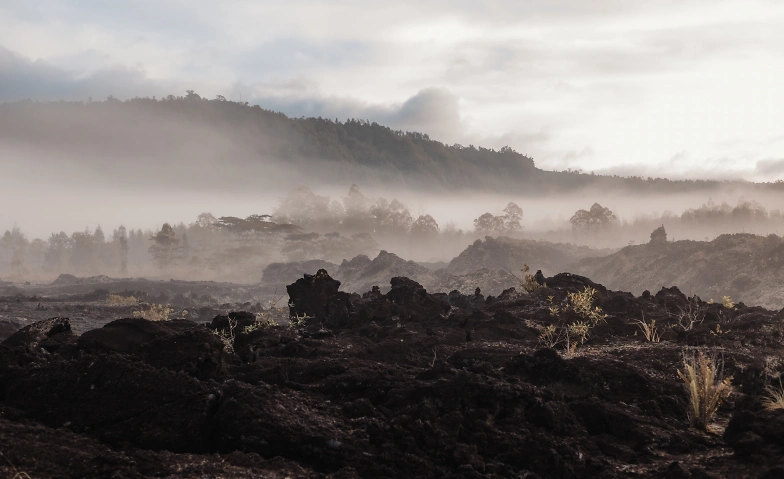 Elysium Solstice Cacao &amp; Breathwork Journey RENEWAL &amp; LIGHT Tickets