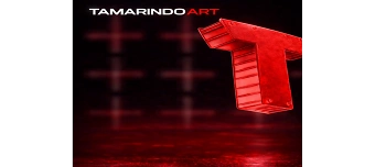 Organisateur de OPEN AIR DAYDANCE  KRAFTWERK Z&Uuml;RICH