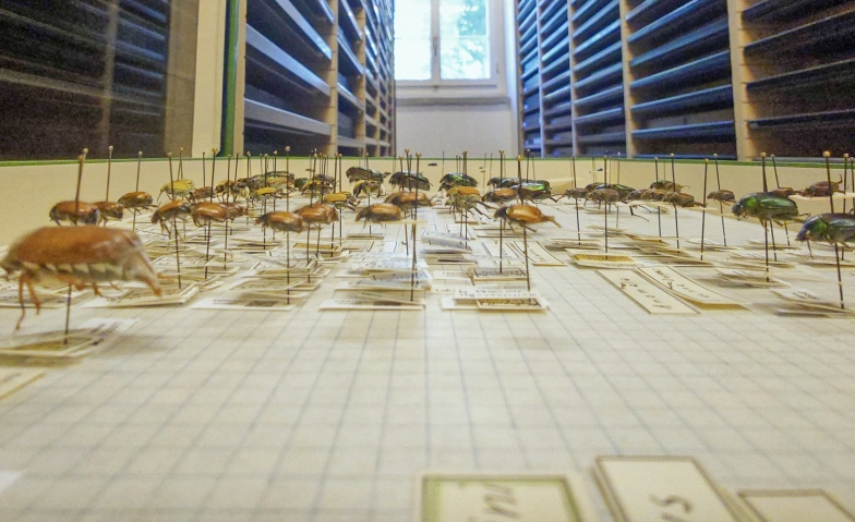 Vom Archiv ins Internet: Swiss Natural History Collection Alte Kaserne Winterthur, Technikumstrasse 8, 8400 Winterthur Tickets