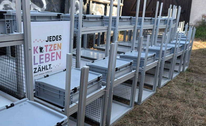 Katzenfallen im Fokus Tickets