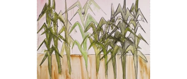 Event-Image for 'Vernissage'