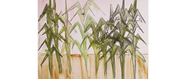 Event-Image for 'Performance - Waldzer'