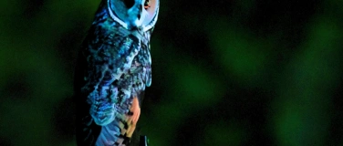 Event-Image for 'Vortrag mit BirdLife: Ornithologische Highlights 2025'