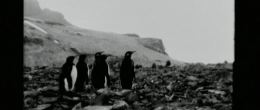 Event-Image for 'Iceland Experimental: Climate of Music'