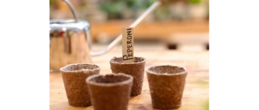 Event-Image for 'Aussaat und Vermehrung von Kr&auml;utern und Gem&uuml;se'