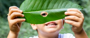 Event-Image for 'Kinder Waldwoche Sommerferien'
