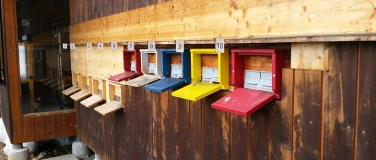 Event-Image for 'Infoabend  Bienengrundkurs'