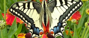 Event-Image for 'Faszinierende Natur rund um den Moossee und im Golfpark.'