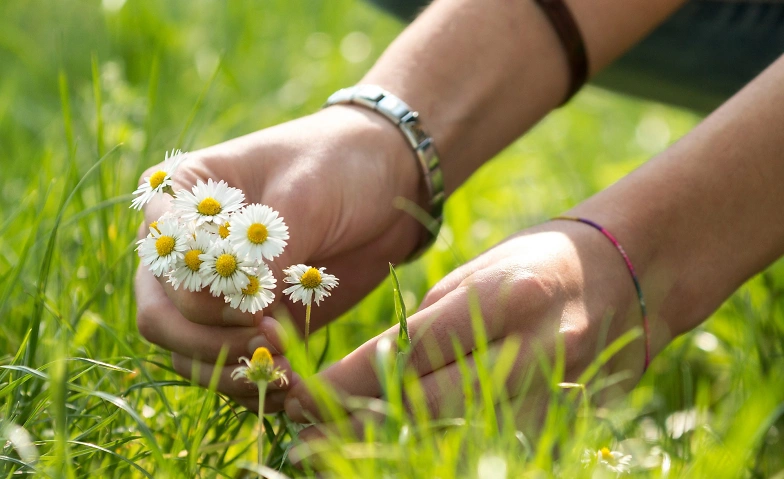 Im Rhythmus der Natur - Mutig in den Fr&uuml;hling Tickets