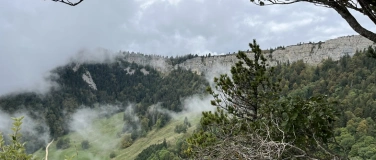 Event-Image for 'Exkursion "Alter Buchenwald - Bettlachstock"'