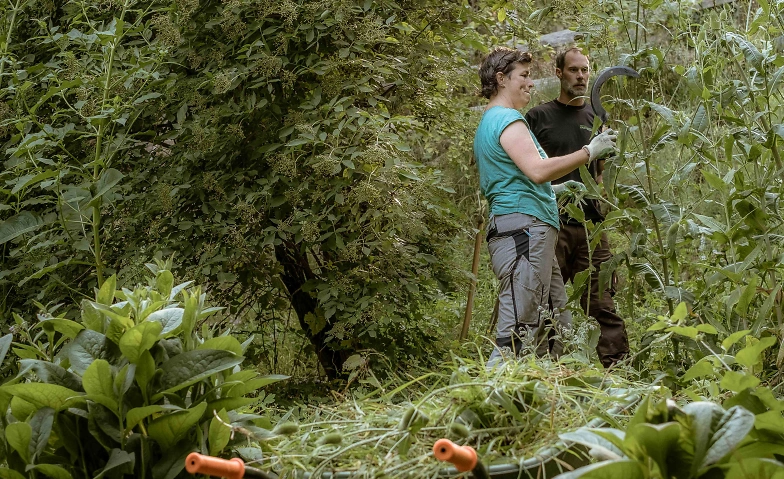 Herbst-Gartenkurs in Kirchdorf Tickets