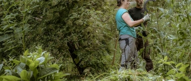 Event-Image for 'Herbst-Gartenkurs in Toffen'