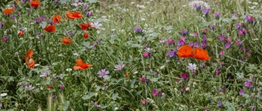 Event-Image for 'sinnvoll'