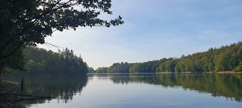 Veranstalter:in von Wald, Wasser, Waffeln - Bergisch Wandern und Genießen