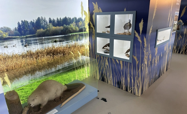 Event-Image for 'Auen, Riedwiesen, Flachsee – Natur- und Kulturlandschaftserb'