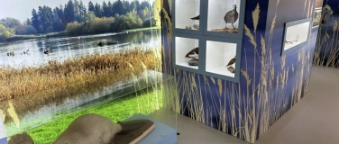 Event-Image for 'Auen, Riedwiesen, Flachsee – Natur- und Kulturlandschaftserb'