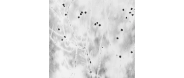 Event-Image for 'FINISSAGE'