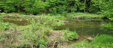 Event-Image for 'Wanderung Galgentobel'