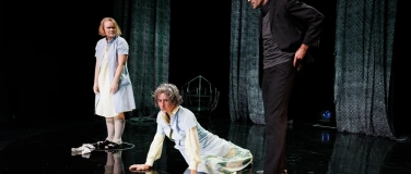 Event-Image for 'Eine Arbeiterin. Leben, Alter und Sterben /UA - Didier Eribo'