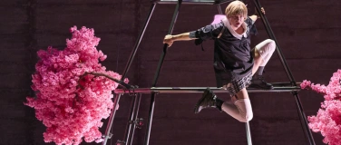 Event-Image for 'Jeanne Dark'