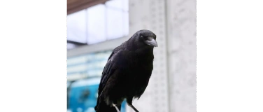 Event-Image for '&Eacute;cho min&eacute;ral'