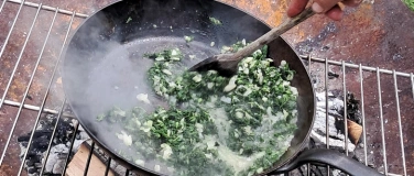 Event-Image for 'Brennessel, eine bestechende Sch&ouml;nheit'