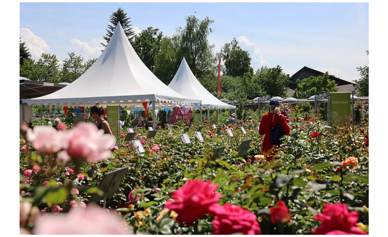 Event-Image for 'Meiers Rosenfest'