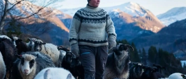 Event-Image for 'WOOLLY – SCHAF DIR DAS GLÜCK von Rebekka Nystabakk'