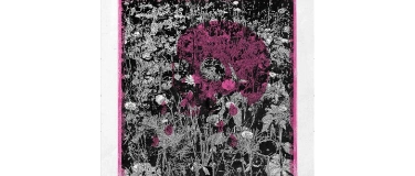 Event-Image for 'STORMO (ITA) & SOASTASPHRENAS (DE) & EMES (CH)'