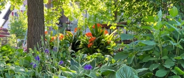 Event-Image for 'offener Garten in Fulenbach'