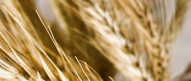 Event-Image for 'Atmen und Gestalten'