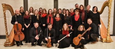 Event-Image for '30 Jahre Harfenorchester Arpa Doro – Weihnachtskonzert'