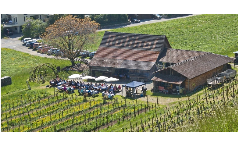Event-Image for 'Sommer-Degustationen mit Grillade im Rebberg'