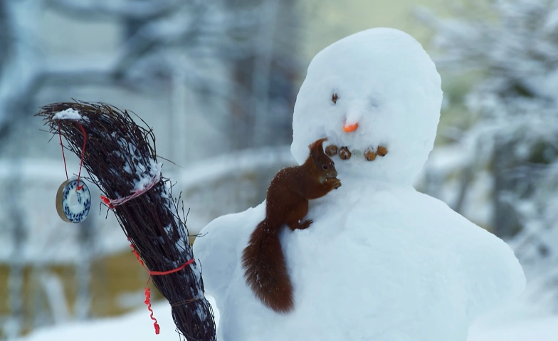 Filmabend: O du wilde Weihnachtszeit &ndash; Tiere im Winter Tickets