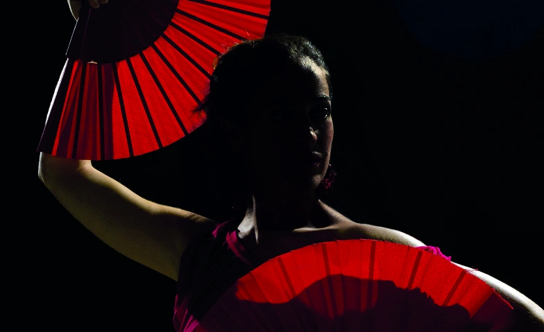 Flamenco entre amigos Theater im Romanischen Keller, Seminarstr. 3, 69117 Heidelberg Tickets