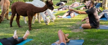 Event-Image for 'Yoga inmitten Alpakas'