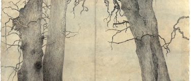 Event-Image for 'Walter Herzog - Zeichnungen'