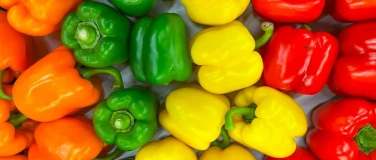 Event-Image for 'KMUdate bei der Tenti AG'