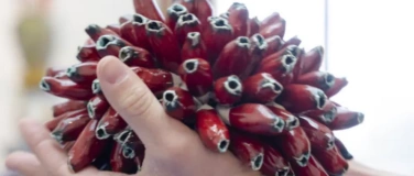 Event-Image for 'Visite commentée: Extra-nature (tactile et descriptive)'