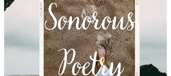 Veranstalter:in von Вечер Стихов Сонорус