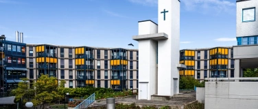 Event-Image for 'Christmette mit Chor und Orchester'