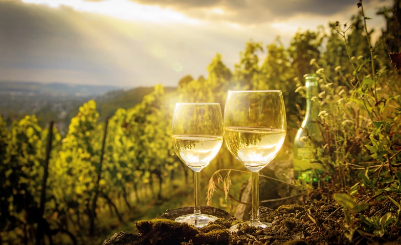 Weingefl&uuml;ster mit Felix Pieper Tickets