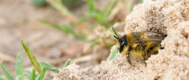 Event-Image for 'Naturama Kinderclub: Heiss oder kalt?'